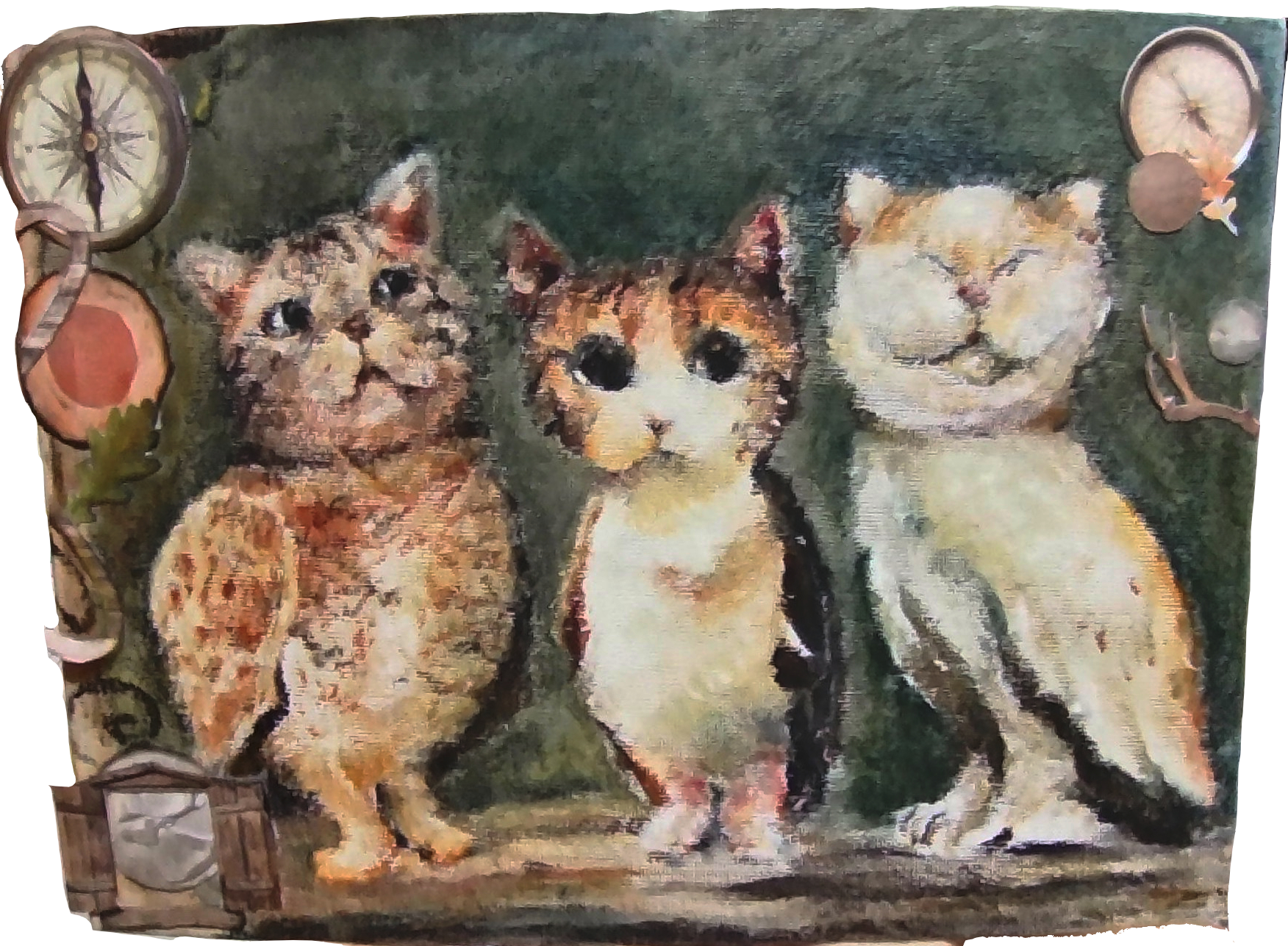 Meowl